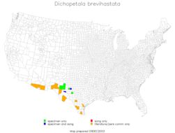 <span class="translation_missing" title="translation missing: ar.medium.untitled.map_image_of, page_name: Obolopteryx brevihastata (Morse 1902)">Map Image Of</span>