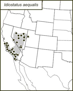 <span class="translation_missing" title="translation missing: pt-BR.medium.untitled.map_image_of, page_name: Tettigoniinae">Map Image Of</span>