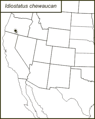 <span class="translation_missing" title="translation missing: fr.medium.untitled.map_image_of, page_name: Idiostatus chewaucan Rentz, D. C. F. &amp; Lightfoot 1976">Map Image Of</span>