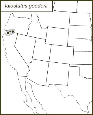 <span class="translation_missing" title="translation missing: en.medium.untitled.map_image_of, page_name: Goeden&#39;s Shieldback">Map Image Of</span>