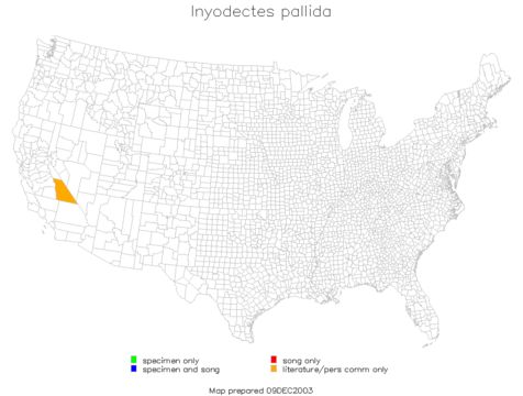 <span class="translation_missing" title="translation missing: en.medium.untitled.map_image_of, page_name: Inyodectes pallidus Rentz, D. C. F. &amp; Birchim 1968">Map Image Of</span>