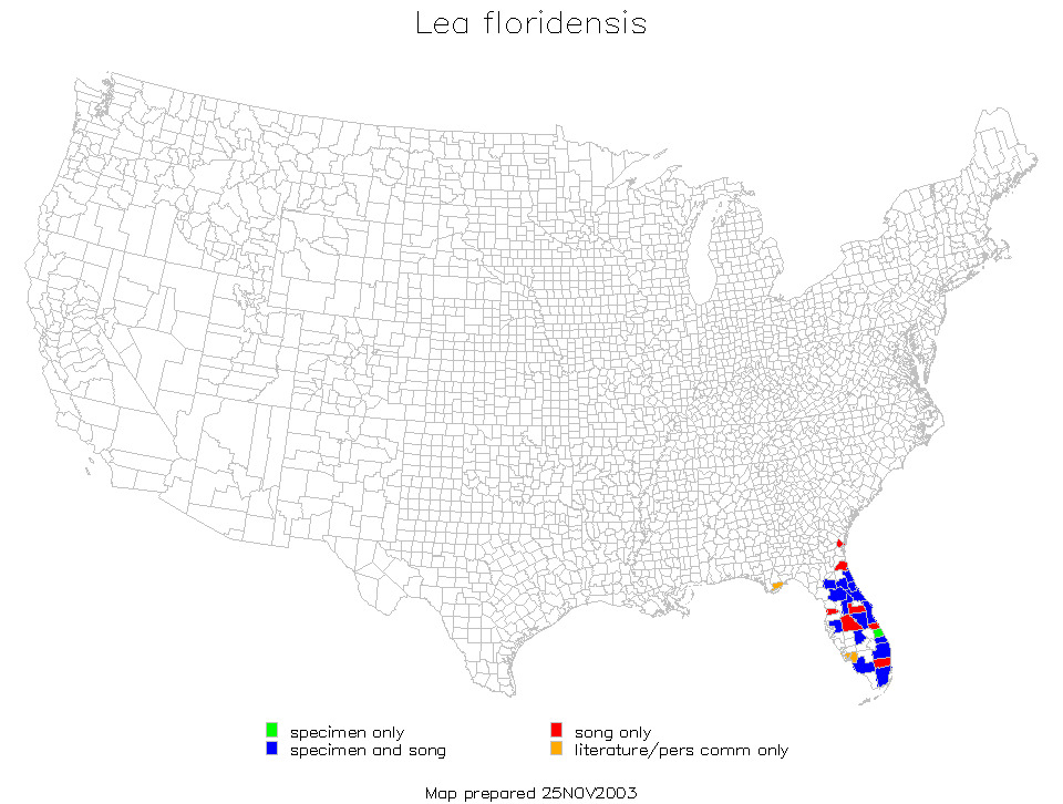 <span class="translation_missing" title="translation missing: en.medium.untitled.map_image_of, page_name: Florida True Katydid">Map Image Of</span>