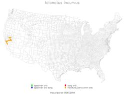 <span class="translation_missing" title="translation missing: en.medium.untitled.map_image_of, page_name: Idionotus incurvus Rentz, D. C. F. &amp; Birchim 1968">Map Image Of</span>