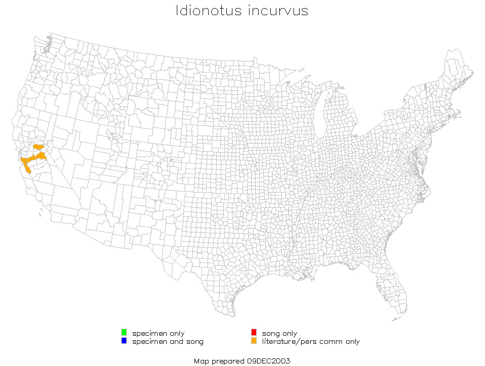 <span class="translation_missing" title="translation missing: en.medium.untitled.map_image_of, page_name: Idionotus incurvus Rentz, D. C. F. &amp; Birchim 1968">Map Image Of</span>