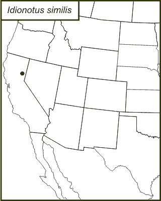 <span class="translation_missing" title="translation missing: en.medium.untitled.map_image_of, page_name: Idionotus similis Caudell 1934">Map Image Of</span>