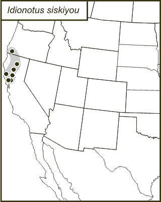 <span class="translation_missing" title="translation missing: en.medium.untitled.map_image_of, page_name: Idionotus siskiyou Hebard 1934">Map Image Of</span>