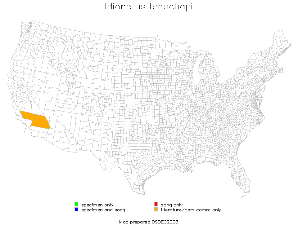 <span class="translation_missing" title="translation missing: en.medium.untitled.map_image_of, page_name: Idionotus tehachapi Hebard 1934">Map Image Of</span>