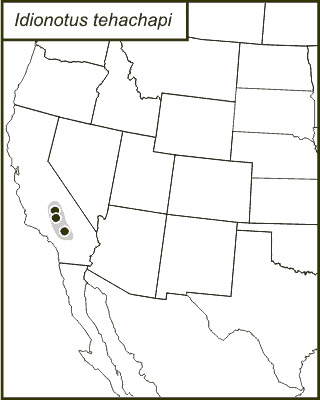 <span class="translation_missing" title="translation missing: en.medium.untitled.map_image_of, page_name: Idionotus tehachapi Hebard 1934">Map Image Of</span>