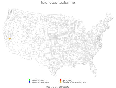 <span class="translation_missing" title="translation missing: en.medium.untitled.map_image_of, page_name: Idionotus tuolumne Hebard 1934">Map Image Of</span>