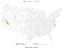 <span class="translation_missing" title="translation missing: en.medium.untitled.map_image_of, page_name: MacNeill&#39;s Shieldback">Map Image Of</span>