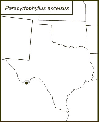 <span class="translation_missing" title="translation missing: en.medium.untitled.map_image_of, page_name: Chisos Katydid">Map Image Of</span>