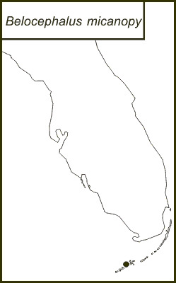 <span class="translation_missing" title="translation missing: en.medium.untitled.map_image_of, page_name: Pine Key Conehead">Map Image Of</span>