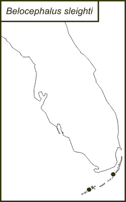 <span class="translation_missing" title="translation missing: pt-BR.medium.untitled.map_image_of, page_name: Belocephalus sleighti Davis &amp; W. T. 1914">Map Image Of</span>