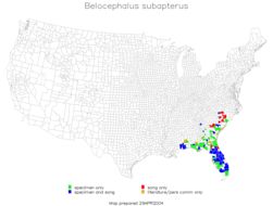 <span class="translation_missing" title="translation missing: pt-BR.medium.untitled.map_image_of, page_name: Belocephalus subapterus Scudder &amp; S. H. 1875">Map Image Of</span>