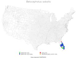 <span class="translation_missing" title="translation missing: pt-BR.medium.untitled.map_image_of, page_name: Belocephalus sabalis Davis &amp; W. T. 1912">Map Image Of</span>