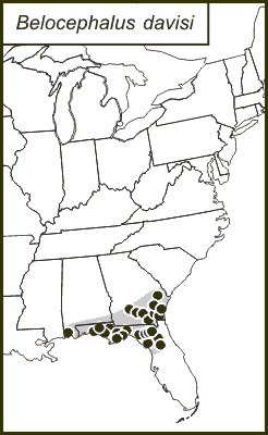 <span class="translation_missing" title="translation missing: en.medium.untitled.map_image_of, page_name: Davis&#39;s Conehead">Map Image Of</span>