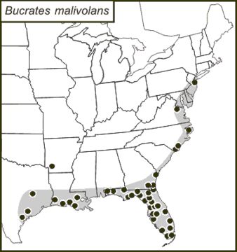 <span class="translation_missing" title="translation missing: en.medium.untitled.map_image_of, page_name: Bucrates">Map Image Of</span>