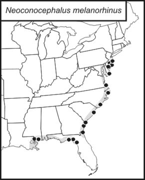 <span class="translation_missing" title="translation missing: en.medium.untitled.map_image_of, page_name: Black-nosed Conehead">Map Image Of</span>