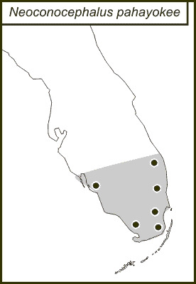 <span class="translation_missing" title="translation missing: en.medium.untitled.map_image_of, page_name: Everglades Conehead">Map Image Of</span>