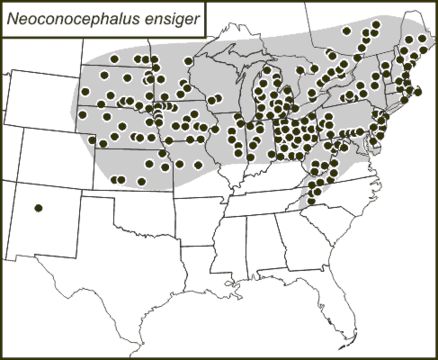 <span class="translation_missing" title="translation missing: en.medium.untitled.map_image_of, page_name: Rattler Conehead">Map Image Of</span>