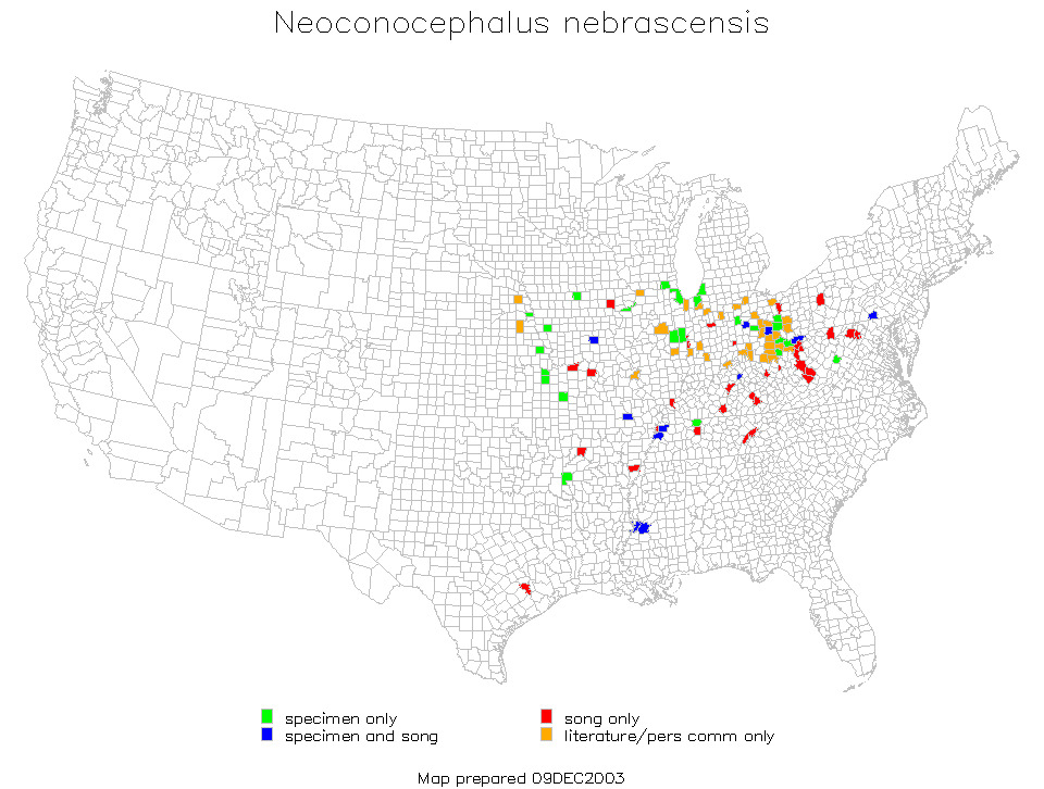 <span class="translation_missing" title="translation missing: mk.medium.untitled.map_image_of, page_name: Neoconocephalus nebrascensis (Bruner &amp; L. 1891)">Map Image Of</span>