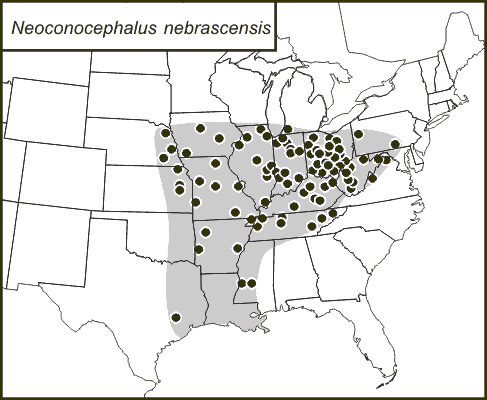 <span class="translation_missing" title="translation missing: mk.medium.untitled.map_image_of, page_name: Neoconocephalus nebrascensis (Bruner &amp; L. 1891)">Map Image Of</span>