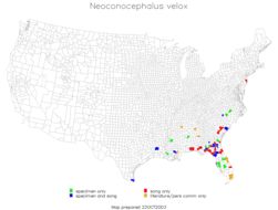 <span class="translation_missing" title="translation missing: fi.medium.untitled.map_image_of, page_name: Neoconocephalus velox Rehn, J. A. G. &amp; Hebard 1914">Map Image Of</span>