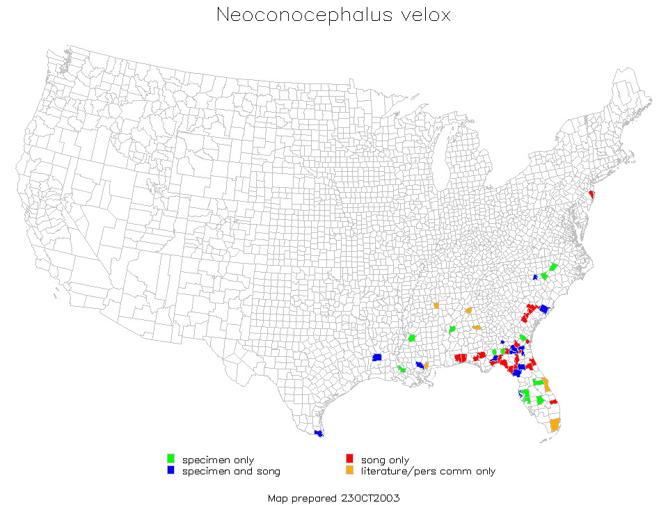 <span class="translation_missing" title="translation missing: fi.medium.untitled.map_image_of, page_name: Neoconocephalus velox Rehn, J. A. G. &amp; Hebard 1914">Map Image Of</span>