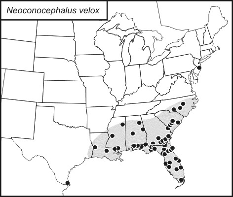 <span class="translation_missing" title="translation missing: fi.medium.untitled.map_image_of, page_name: Neoconocephalus velox Rehn, J. A. G. &amp; Hebard 1914">Map Image Of</span>