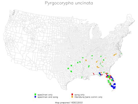 <span class="translation_missing" title="translation missing: en.medium.untitled.map_image_of, page_name: Pyrgocorypha">Map Image Of</span>