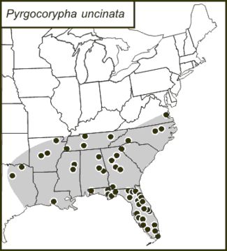 <span class="translation_missing" title="translation missing: en.medium.untitled.map_image_of, page_name: Pyrgocorypha">Map Image Of</span>