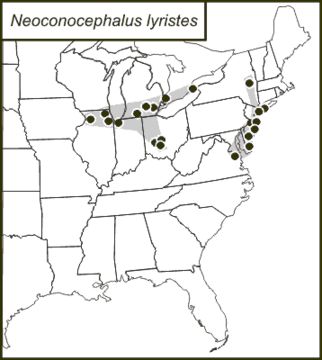 <span class="translation_missing" title="translation missing: en.medium.untitled.map_image_of, page_name: Slender Conehead">Map Image Of</span>