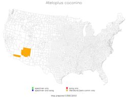 <span class="translation_missing" title="translation missing: en.medium.untitled.map_image_of, page_name: Ateloplus coconino Hebard 1935">Map Image Of</span>