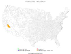 <span class="translation_missing" title="translation missing: en.medium.untitled.map_image_of, page_name: Ateloplus hesperus Hebard 1934">Map Image Of</span>