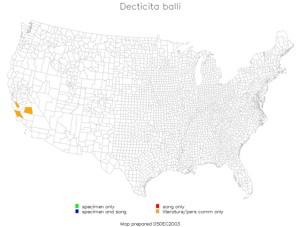 <span class="translation_missing" title="translation missing: en.medium.untitled.map_image_of, page_name: Decticita balli Hebard 1939">Map Image Of</span>