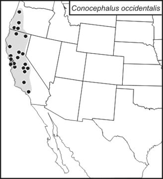 <span class="translation_missing" title="translation missing: en.medium.untitled.map_image_of, page_name: Lesser Meadow Katydids">Map Image Of</span>