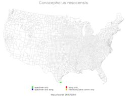 <span class="translation_missing" title="translation missing: mk.medium.untitled.map_image_of, page_name: Conocephalus (Anisoptera) resacensis Rehn, J. A. G. &amp; Hebard 1915">Map Image Of</span>