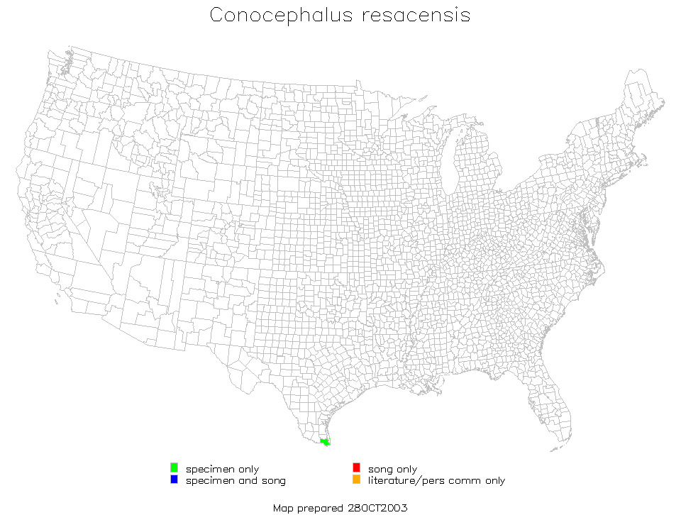 <span class="translation_missing" title="translation missing: en.medium.untitled.map_image_of, page_name: Brownsville Meadow Katydid">Map Image Of</span>