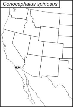 <span class="translation_missing" title="translation missing: en.medium.untitled.map_image_of, page_name: San Diego Meadow Katydid">Map Image Of</span>