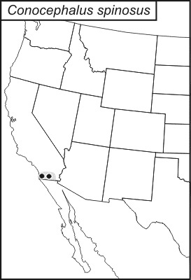 <span class="translation_missing" title="translation missing: en.medium.untitled.map_image_of, page_name: San Diego Meadow Katydid">Map Image Of</span>