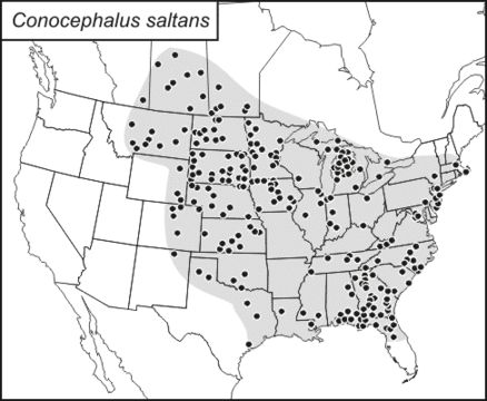 <span class="translation_missing" title="translation missing: en.medium.untitled.map_image_of, page_name: Lesser Meadow Katydids">Map Image Of</span>