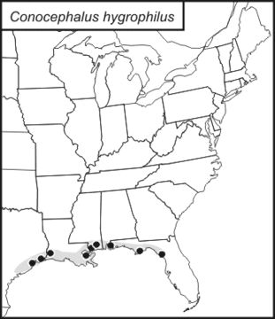 <span class="translation_missing" title="translation missing: en.medium.untitled.map_image_of, page_name: Gulf Meadow Katydid">Map Image Of</span>