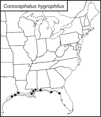 <span class="translation_missing" title="translation missing: en.medium.untitled.map_image_of, page_name: Gulf Meadow Katydid">Map Image Of</span>