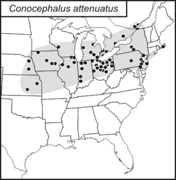 <span class="translation_missing" title="translation missing: en.medium.untitled.map_image_of, page_name: Long-tailed Meadow Katydid">Map Image Of</span>