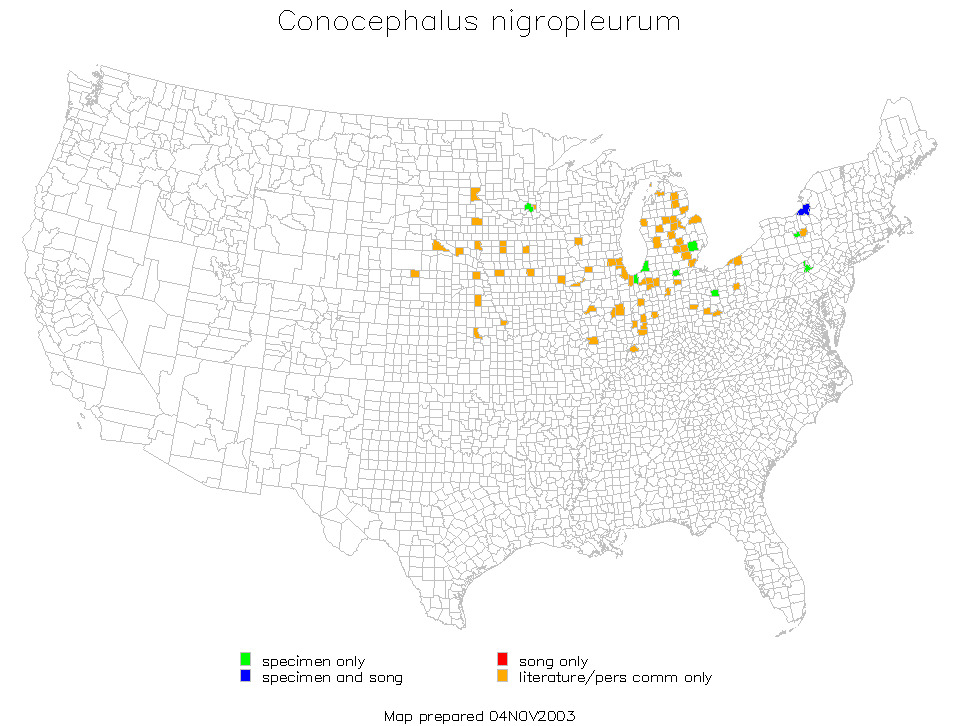 <span class="translation_missing" title="translation missing: en.medium.untitled.map_image_of, page_name: Black-sided Meadow Katydid">Map Image Of</span>