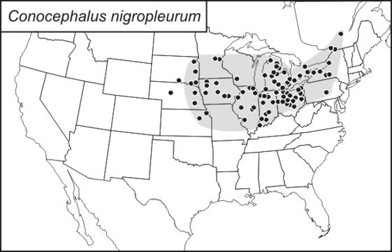 <span class="translation_missing" title="translation missing: en.medium.untitled.map_image_of, page_name: Black-sided Meadow Katydid">Map Image Of</span>