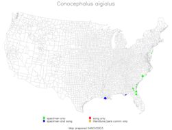 <span class="translation_missing" title="translation missing: mk.medium.untitled.map_image_of, page_name: Conocephalus (Conocephalus) aigialus Rehn, J. A. G. &amp; Hebard 1915">Map Image Of</span>