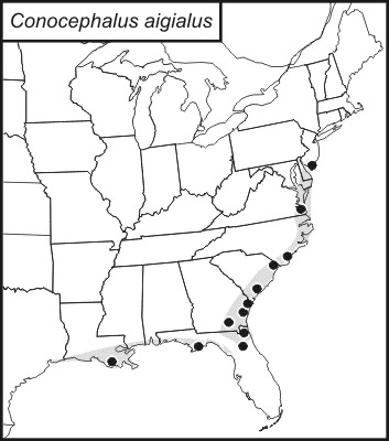 <span class="translation_missing" title="translation missing: mk.medium.untitled.map_image_of, page_name: Conocephalus (Conocephalus) aigialus Rehn, J. A. G. &amp; Hebard 1915">Map Image Of</span>