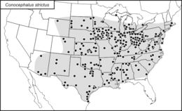 <span class="translation_missing" title="translation missing: mk.medium.untitled.map_image_of, page_name: Conocephalus (Anisoptera) strictus (Scudder &amp; S. H. 1875)">Map Image Of</span>