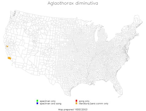 <span class="translation_missing" title="translation missing: ar.medium.untitled.map_image_of, page_name: Aglaothorax diminutiva (Rentz, D. C. F. &amp; Birchim 1968)">Map Image Of</span>